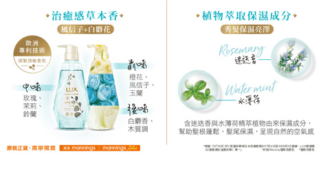 治癒感草本香, 風信子, 白麝花, 迷迭香, 水薄荷, 空氣感